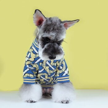 Pull pour chien Burberry | 2024