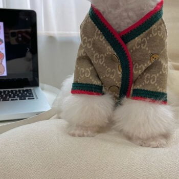 Pull pour chien Gucci | 2024