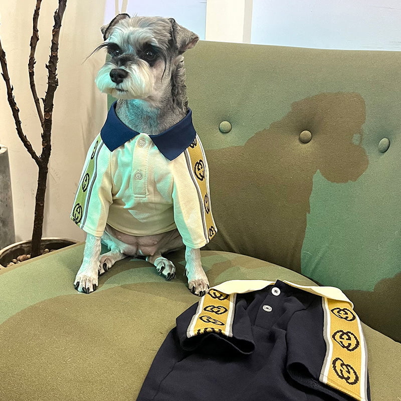 T-shirt pour chien Gucci | 2024