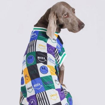 Vêtements Grands Chiens - 2025 - Vêtement et accessoires pour chiens - Doglovedesign
