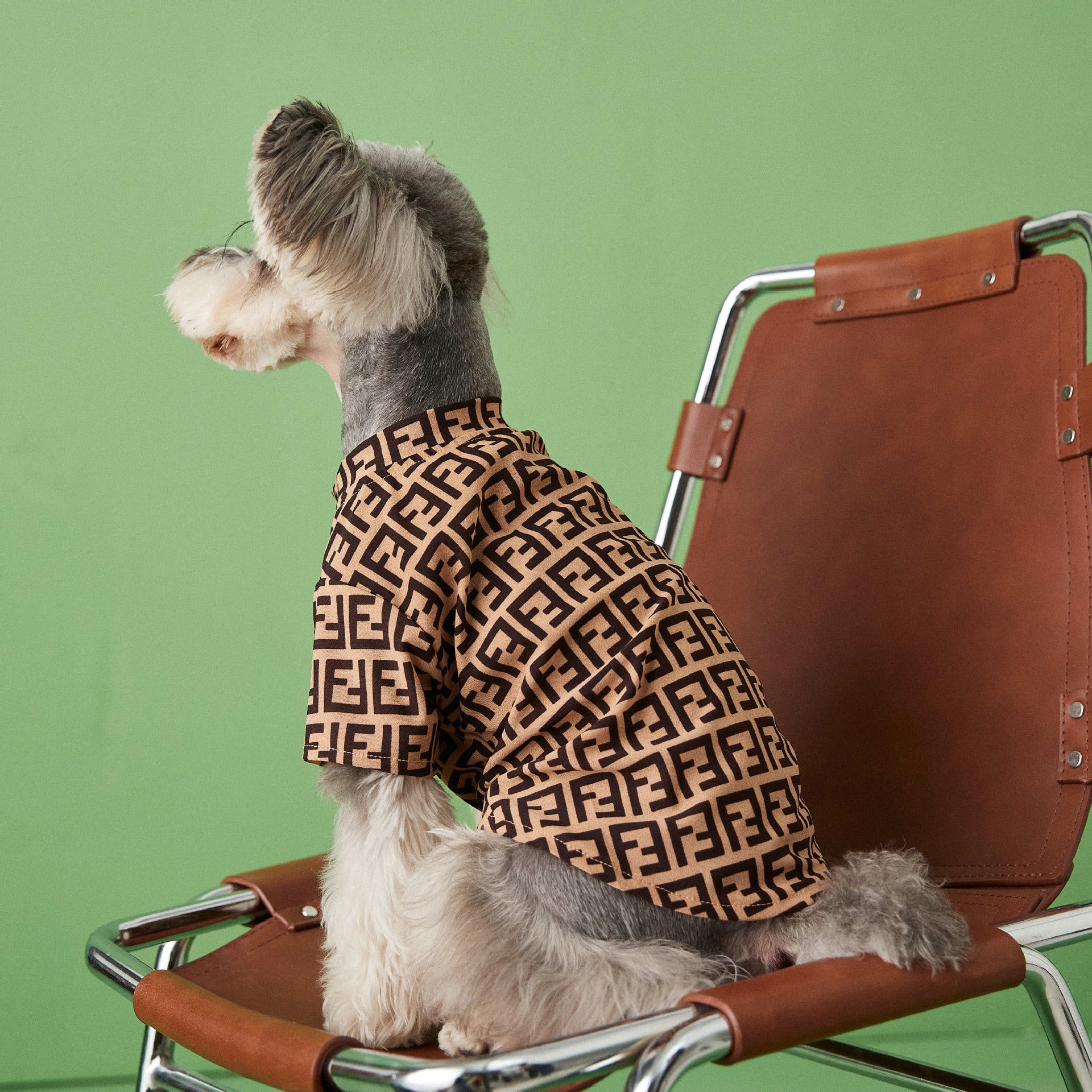 T-shirt pour chien Fendi | 2024