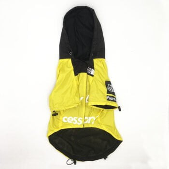 Veste pour chien The North Face - 2025 - Vêtement et accessoires pour chiens - Doglovedesign