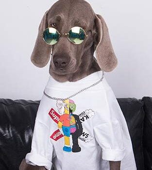 Vêtements Grands Chiens Supreme | 2024