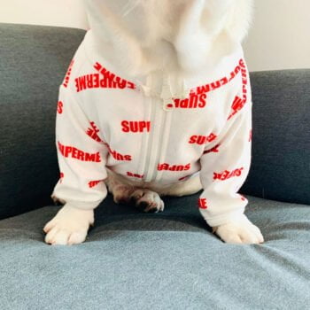 Veste pour chien Supreme | 2025