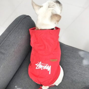 Sweat à capuche pour chien Stussy | 2024