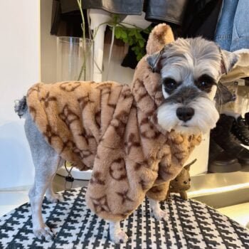 Louis Pawtton - Manteau Ours en Peluche pour Chien Chic | 2024