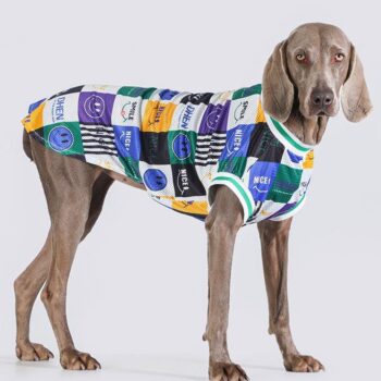 Vêtements Grands Chiens - 2025 - Vêtement et accessoires pour chiens - Doglovedesign