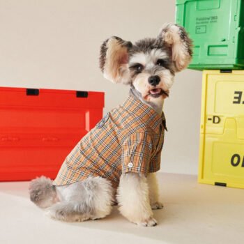 Chemise pour chien Burberry | 2024