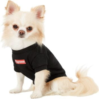 T-shirt pour chien Supreme | 2025