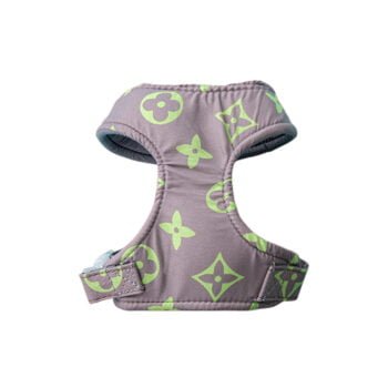 Collier et Harnais Pawtton pour Chiens - 2025 - Vêtement et accessoires pour chiens - Doglovedesign
