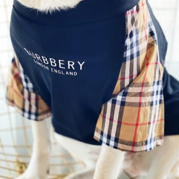 Vêtements Grands Chiens Burberry | 2024