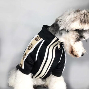 Veste pour chien Gucci | 2024