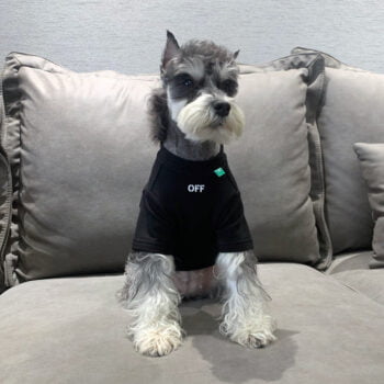 T-shirt pour chien Off-White | 2024