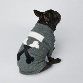 Pull pour chien WOOF | 2024