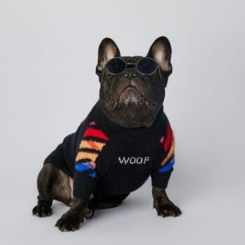 Pull pour chien WOOF | 2024