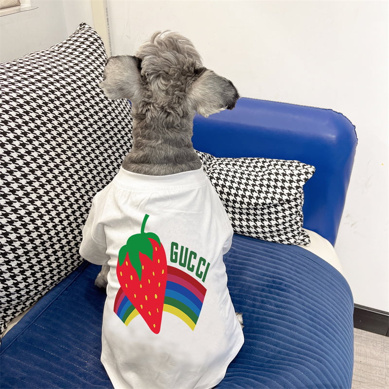 T-shirt pour chien Gucci | 2024
