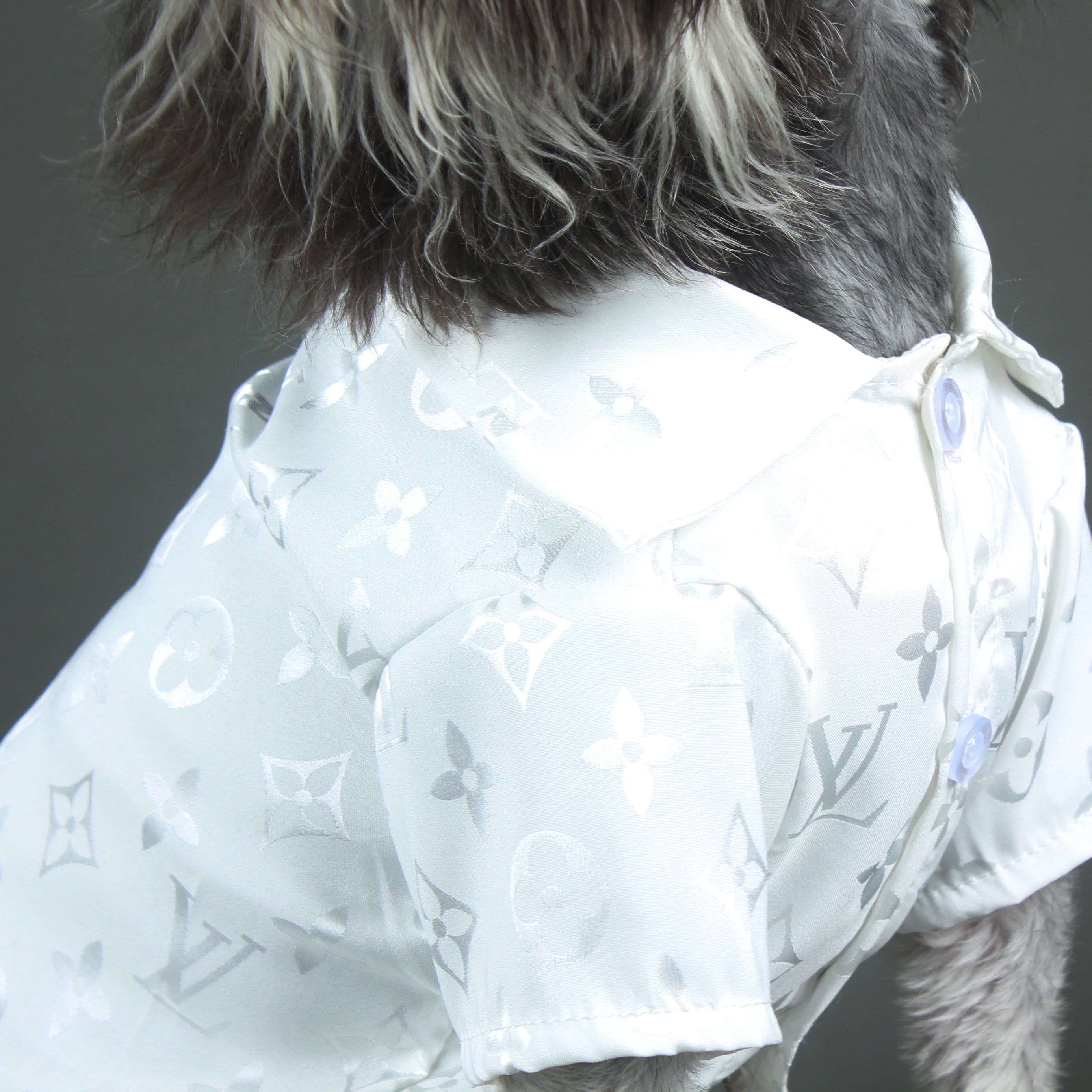 Chemise pour chien Louis Pawtton | 2024