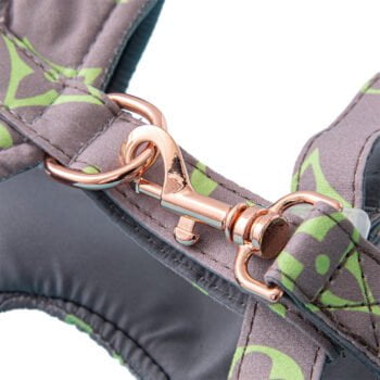 Collier et Harnais Pawtton pour Chiens - 2025 - Vêtement et accessoires pour chiens - Doglovedesign