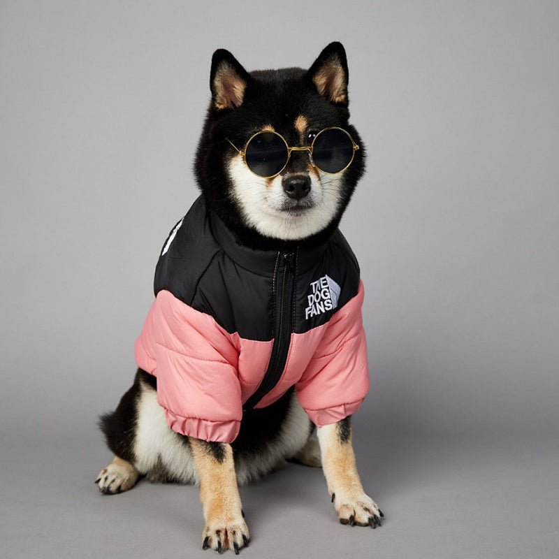 Veste pour chien The North Face | 2024