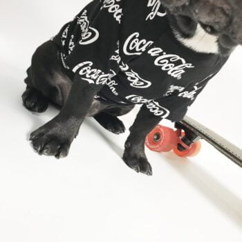 T-shirt pour chien Coca Cola | 2024