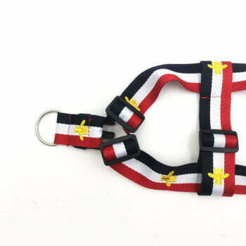 Collier et harnais pour chien Pawcci - 2025 - Vêtement et accessoires pour chiens - Doglovedesign