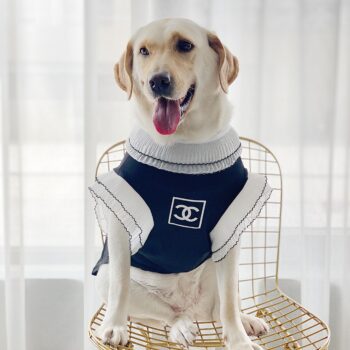 Vêtements Grands Chiens Chanel | 2025