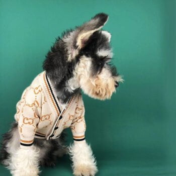 Pull pour chien Gucci | 2024