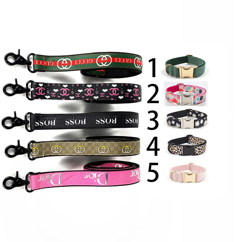 Colliers & Laisses de Luxe pour Chiens
