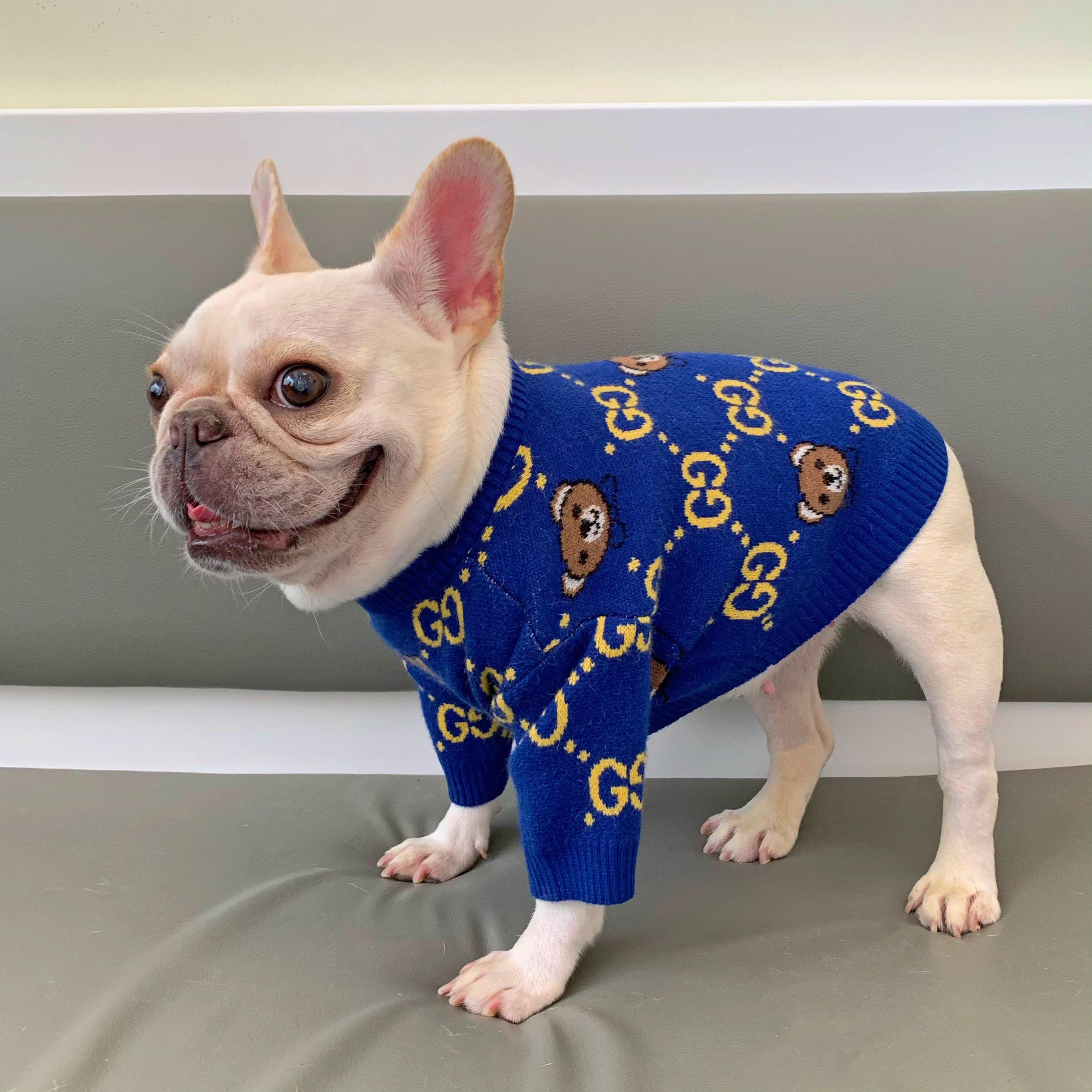 Pull pour chien Gucci | 2024