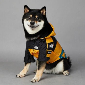 Sweat à capuche pour chien The North Face - 2025 - Vêtement et accessoires pour chiens - Doglovedesign