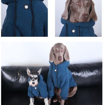 Vêtements Grands Chiens | 2024