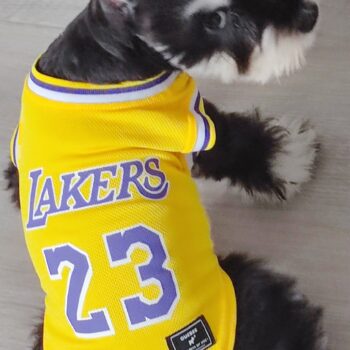 Gilet sans manches pour chien Basketball | 2024