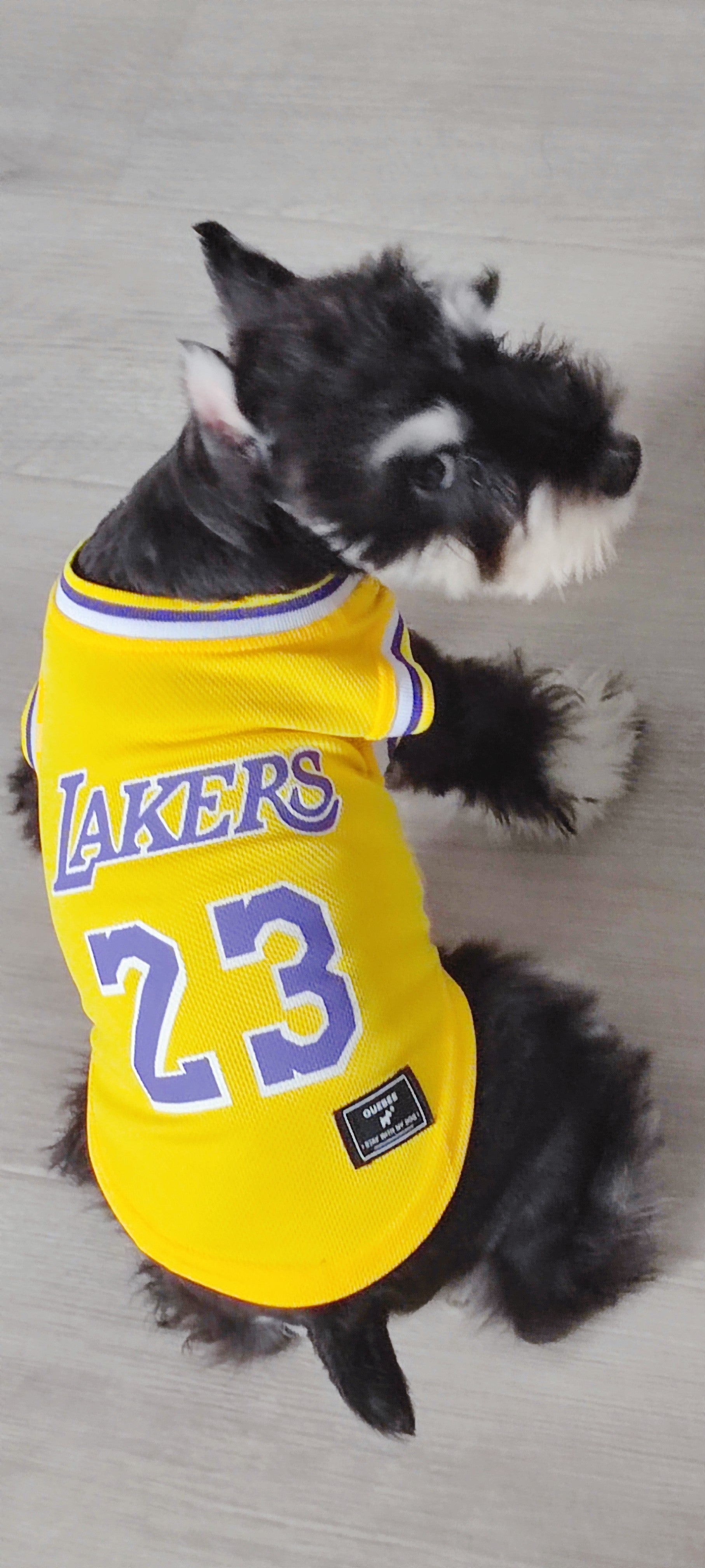 Gilet sans manches pour chien Basketball | 2024