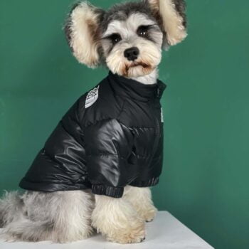 Veste pour chien The North Face | 2024