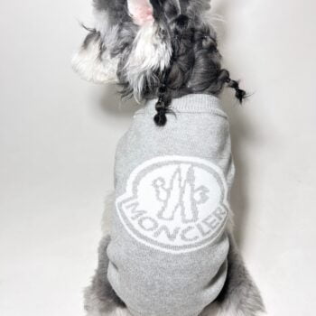 Pull pour chien Moncler | 2025