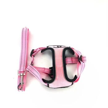 Accessoires de Luxe pour Chiens : Collier et Harnais Rose Chanel CC | 2024