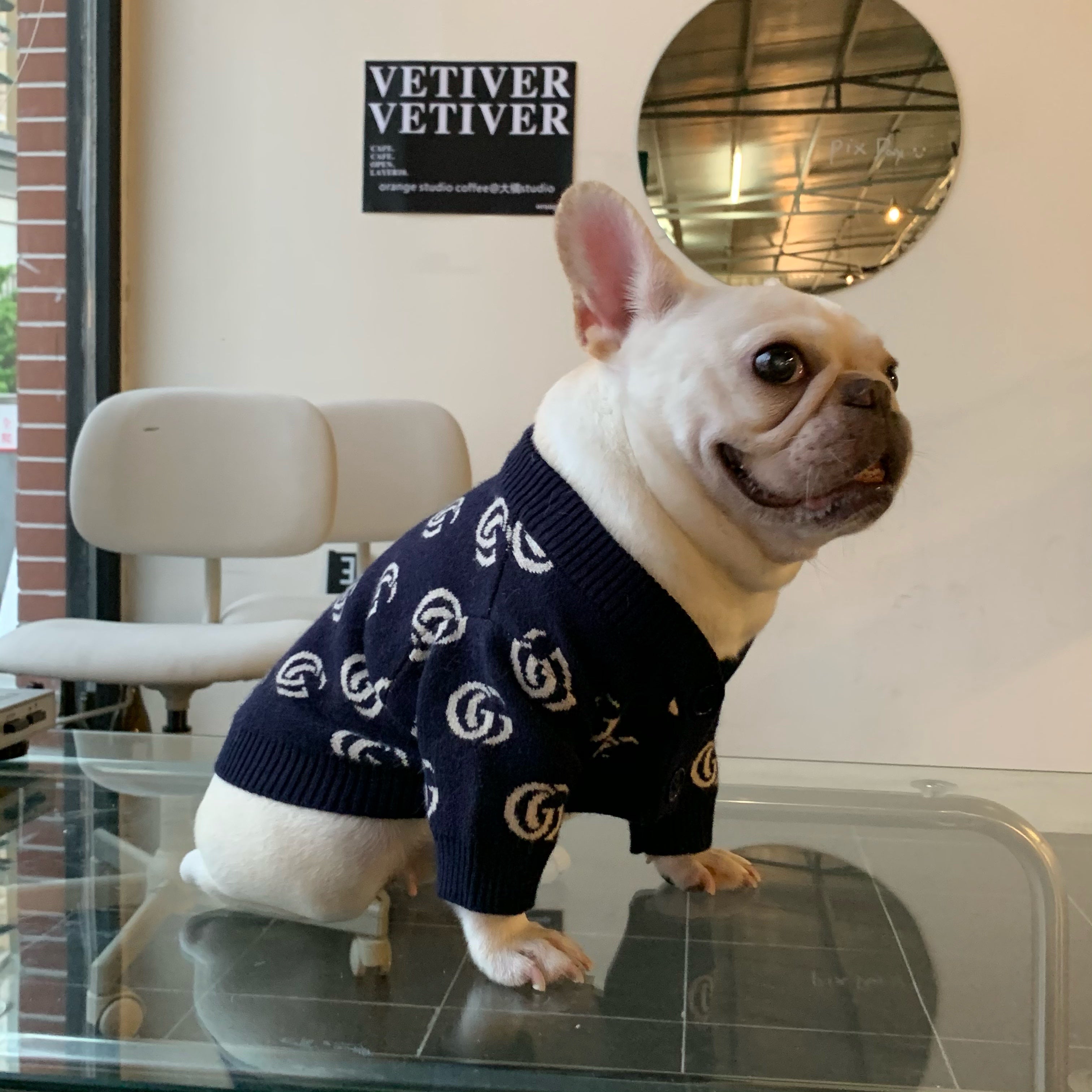 Pull pour chien Gucci | 2024