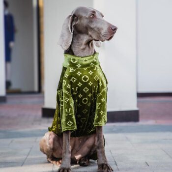 Vêtements Grands Chiens Louis Pawtton | 2025