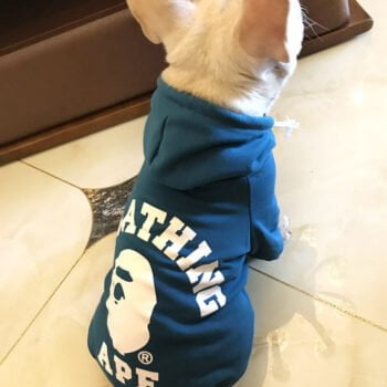 Sweat à capuche pour chien Bape | 2024