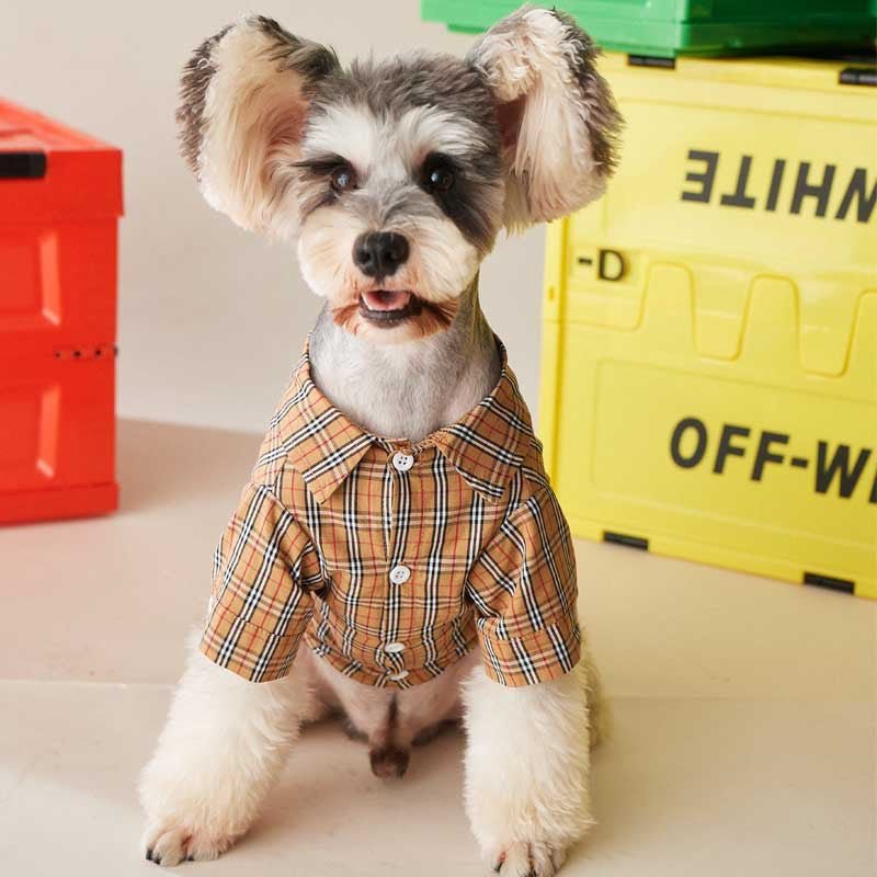 Chemise pour chien Burberry | 2024