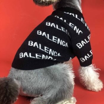 Pull pour chien Balenciaga | 2024