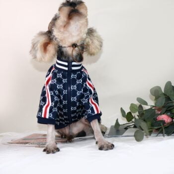 Veste pour chien Pawcci - 2025 - Vêtement et accessoires pour chiens - Doglovedesign