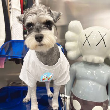 T-shirt pour chien Pawcci - 2025 - Vêtement et accessoires pour chiens - Doglovedesign