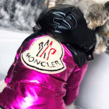 Veste pour chien Moncler | 2024