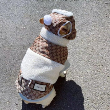 Veste pour chien Gucci | 2024