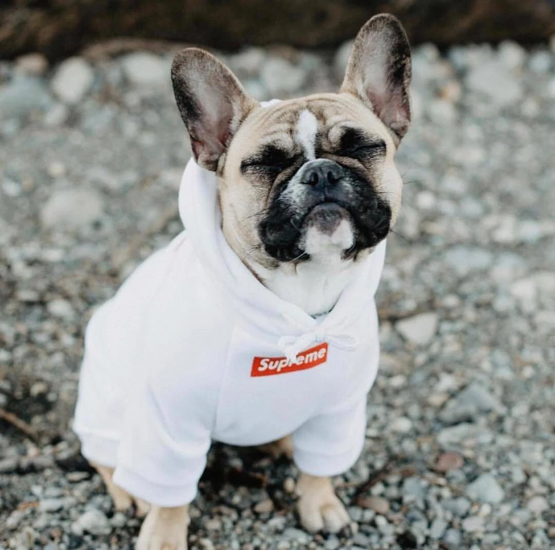Doglovedesign Boutique Fashion Dog - 🔥 Sweat Capuche Supreme LV