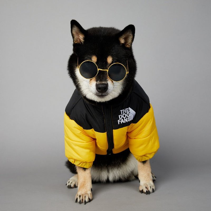 Veste pour chien The North Face - 2025 - Vêtement et accessoires pour chiens - Doglovedesign