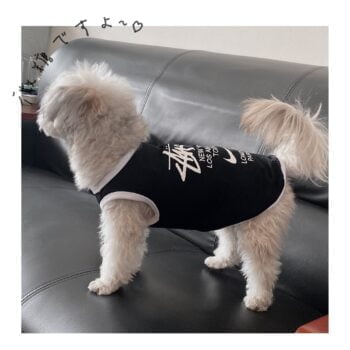 Gilet sans manches pour chien Nike x Stussy | 2024