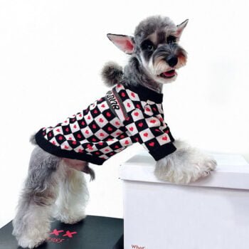 Pull pour chien Dior | 2024