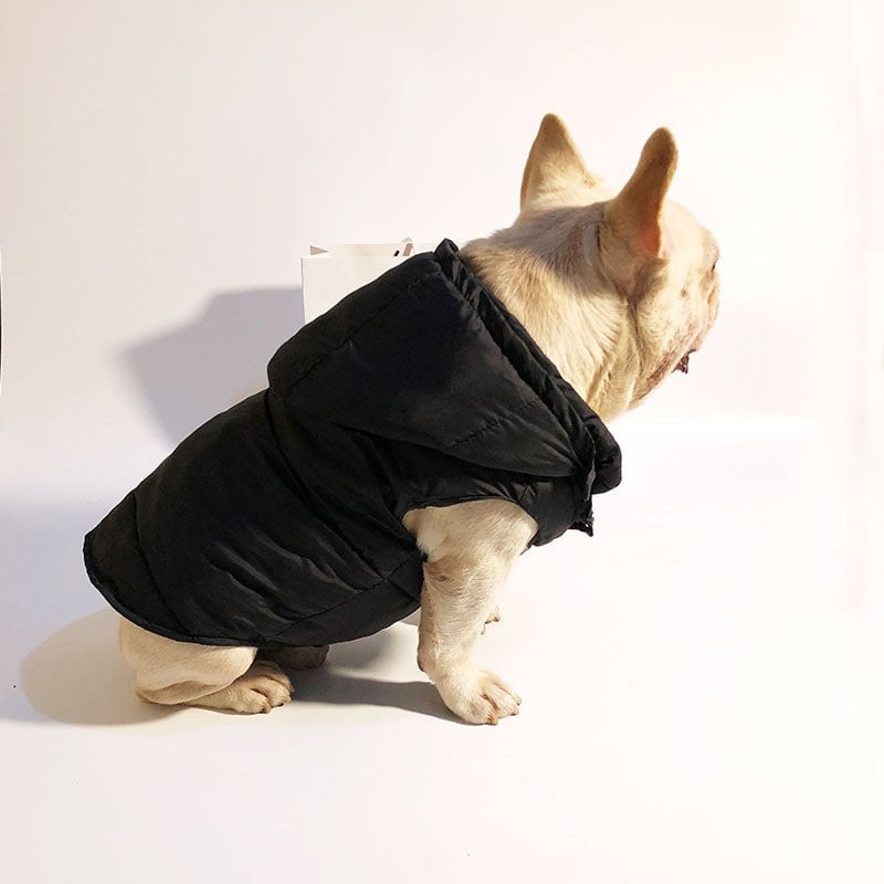 Veste pour chien Prada | 2024
